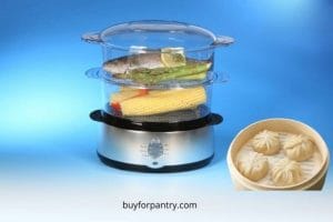 Best electric food steamer BPA free